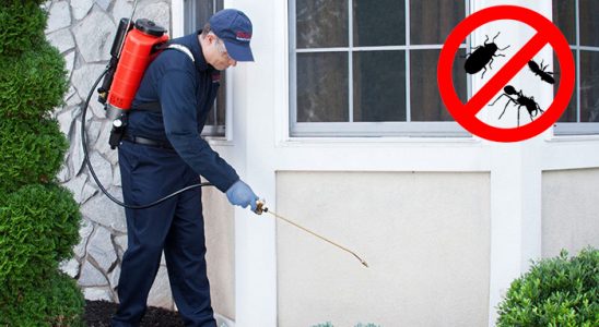 Örnekköy Karınca İlaçlama böcek ilaçlama ve haşere kontrolü — ilaclama-tr.com